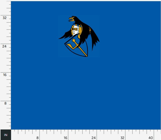 VFA 97 US Navy Fighter Squadron (sf dill)